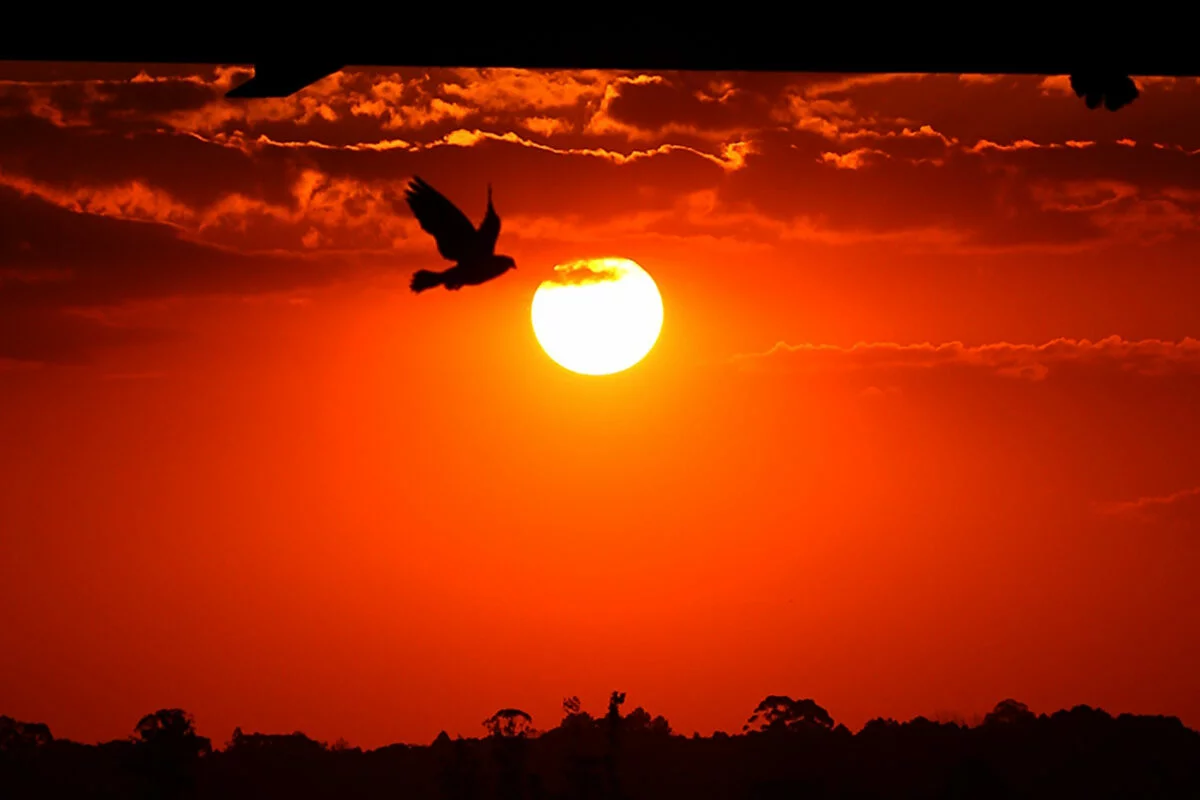 Onda de calor no Paraná Temperaturas elevadas dominam a semana em