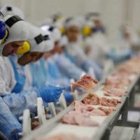 Greve dos caminhoneiros paralisa  frigoríficos no Paraná