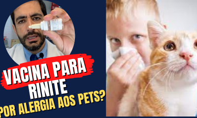 rinite alérgica animais pets, cachorro cão gato vacina