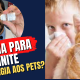 rinite alérgica animais pets, cachorro cão gato vacina
