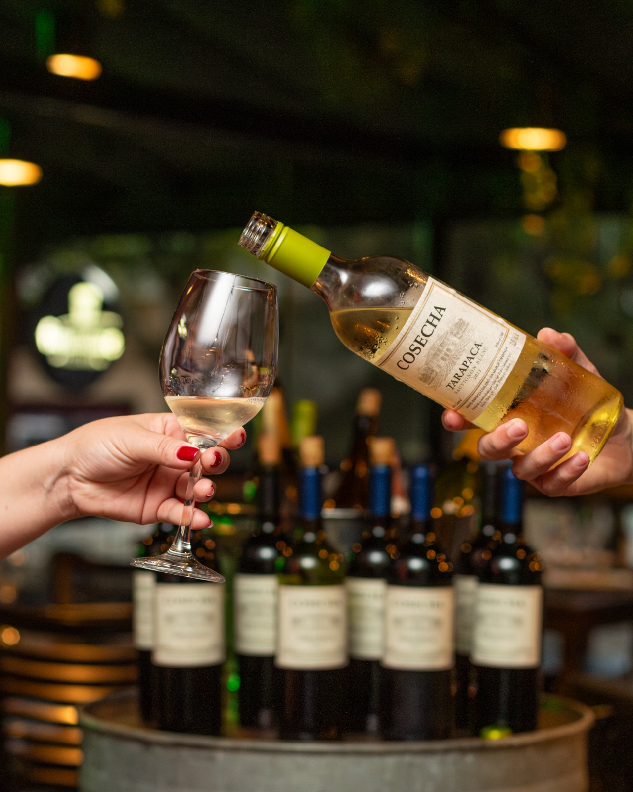 Pizzaria de Curitiba promove open de Vinho e Gin por apenas R$ 79