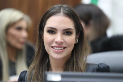 Assembleia Legislativa do Paraná | ALEP | Notícias > Creches e educação serão temas da reunião da Frente Parlamentar da Primeira Infância