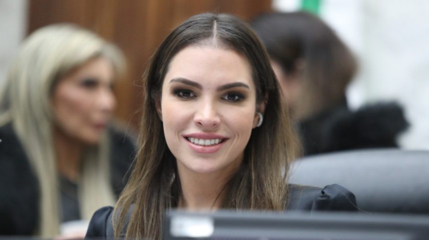 Assembleia Legislativa do Paraná | ALEP | Notícias > Creches e educação serão temas da reunião da Frente Parlamentar da Primeira Infância