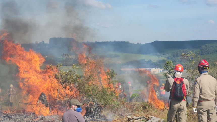 Assembleia Legislativa do Paraná | ALEP | Notícias > Educação e prevenção são foco do Agosto Cinza no Paraná