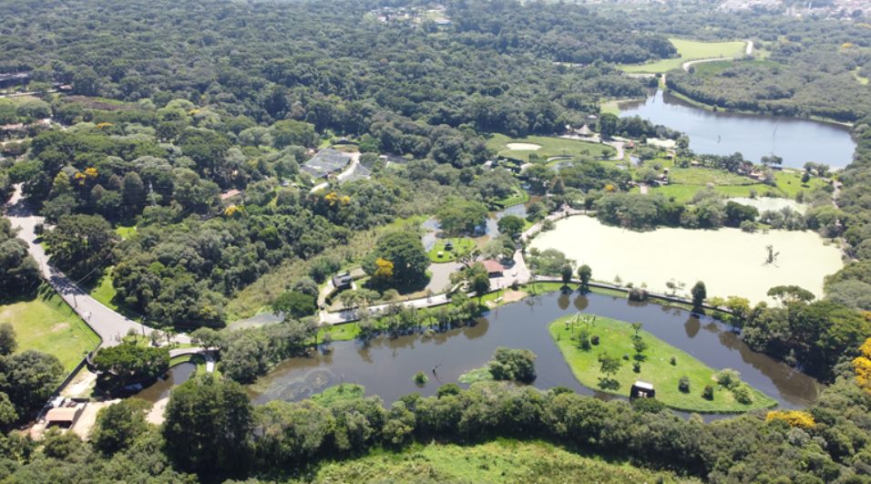 Prefeitura anuncia novidade no Zoo de Curitiba e gera expectativa nas redes sociais